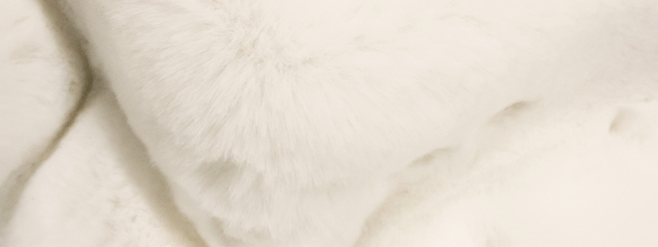 Découvrez notre gamme de tissus en fausse fourrure.