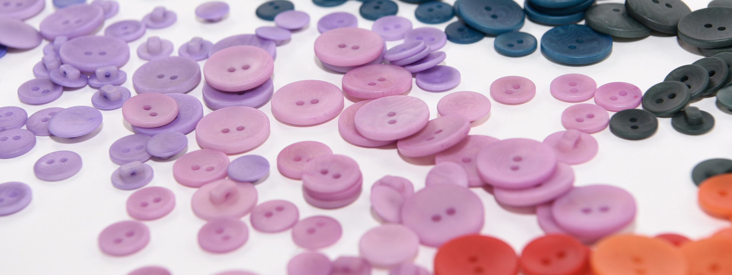 Découvrez notre gamme de boutons Corozo disponibles en plusieurs coloris