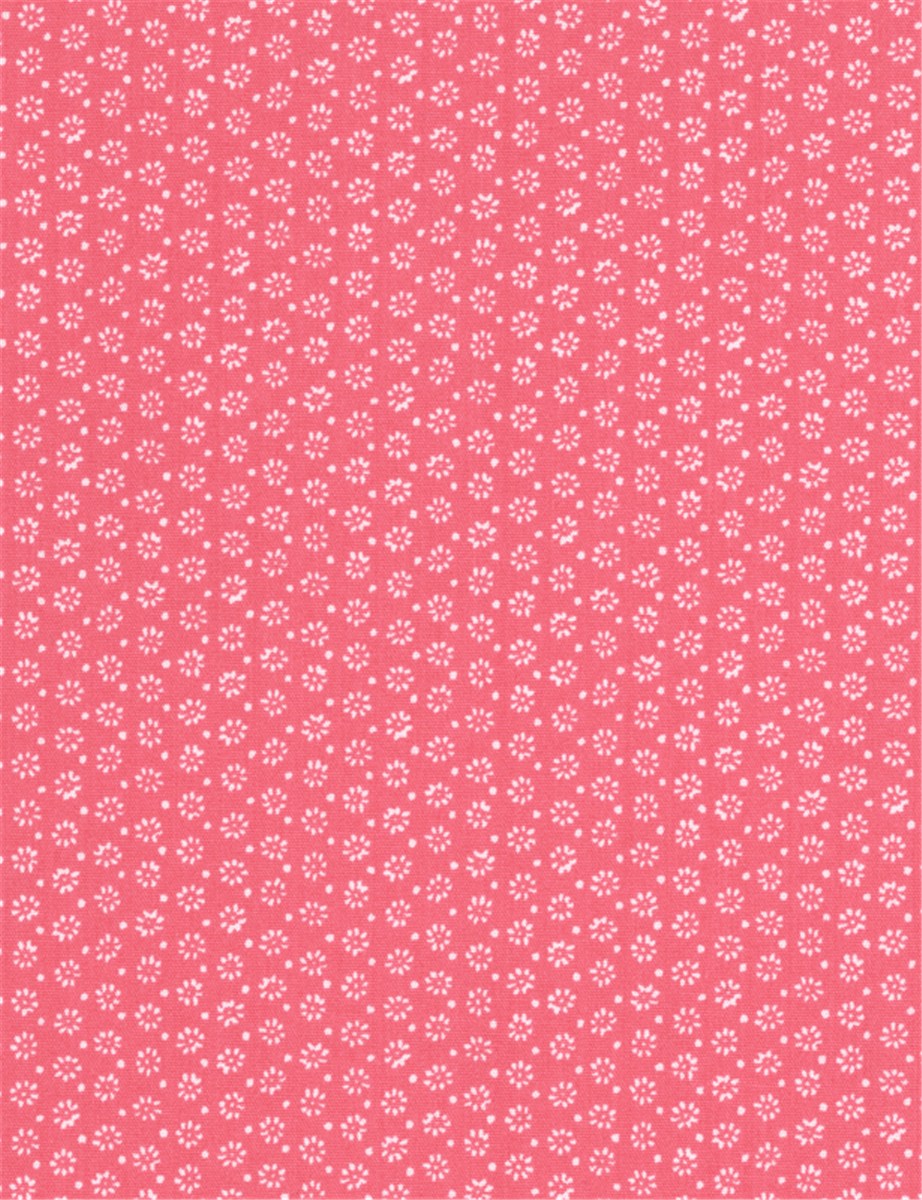 Popeline de Coton - Mio - 5