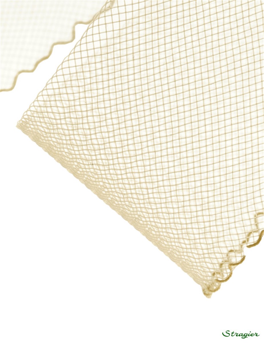 Bande de Crin fin - avec fil - uni - Champagne - 54 mm