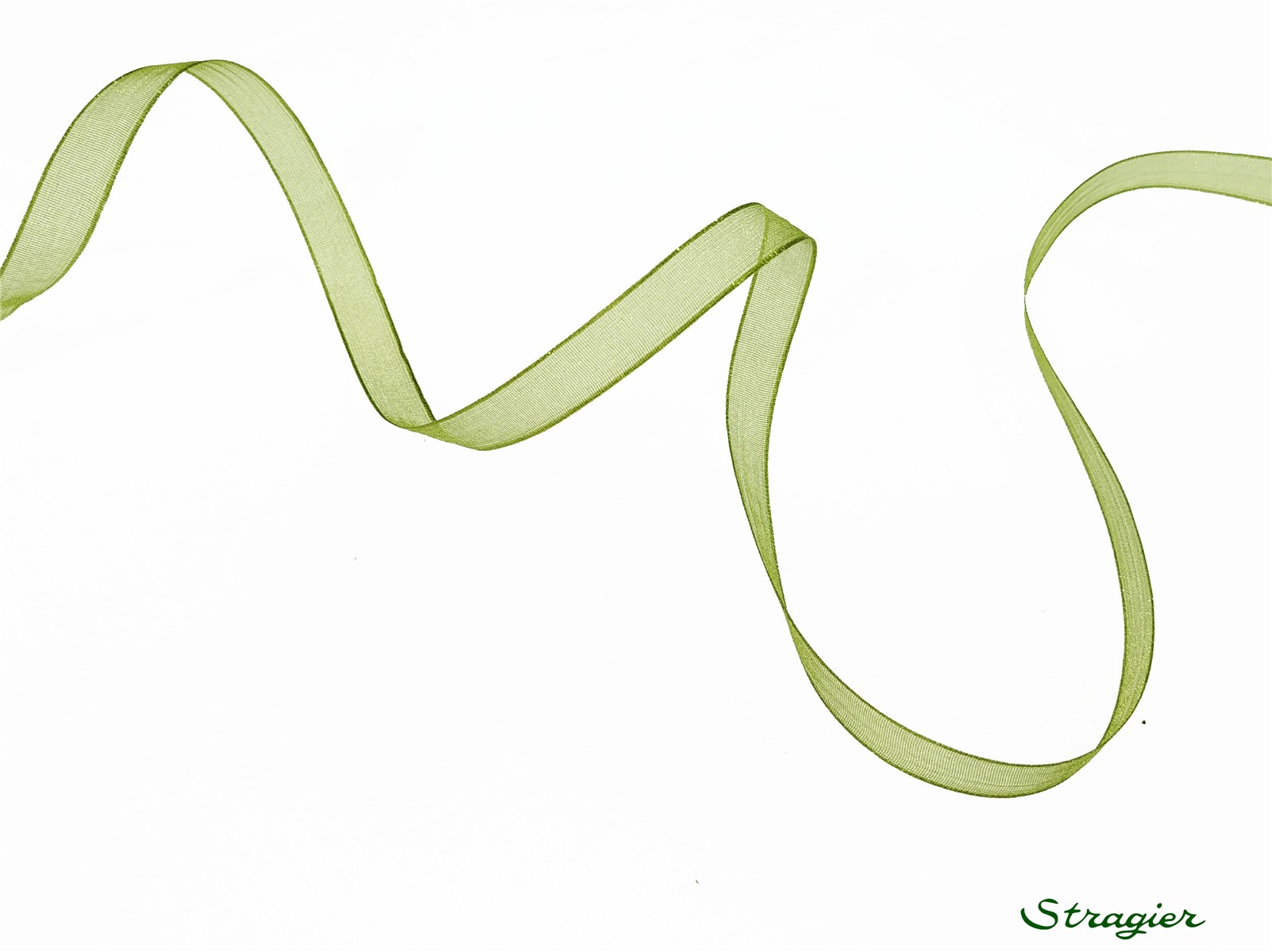 Ruban Mousseline - Uni - Olive - 6 mm