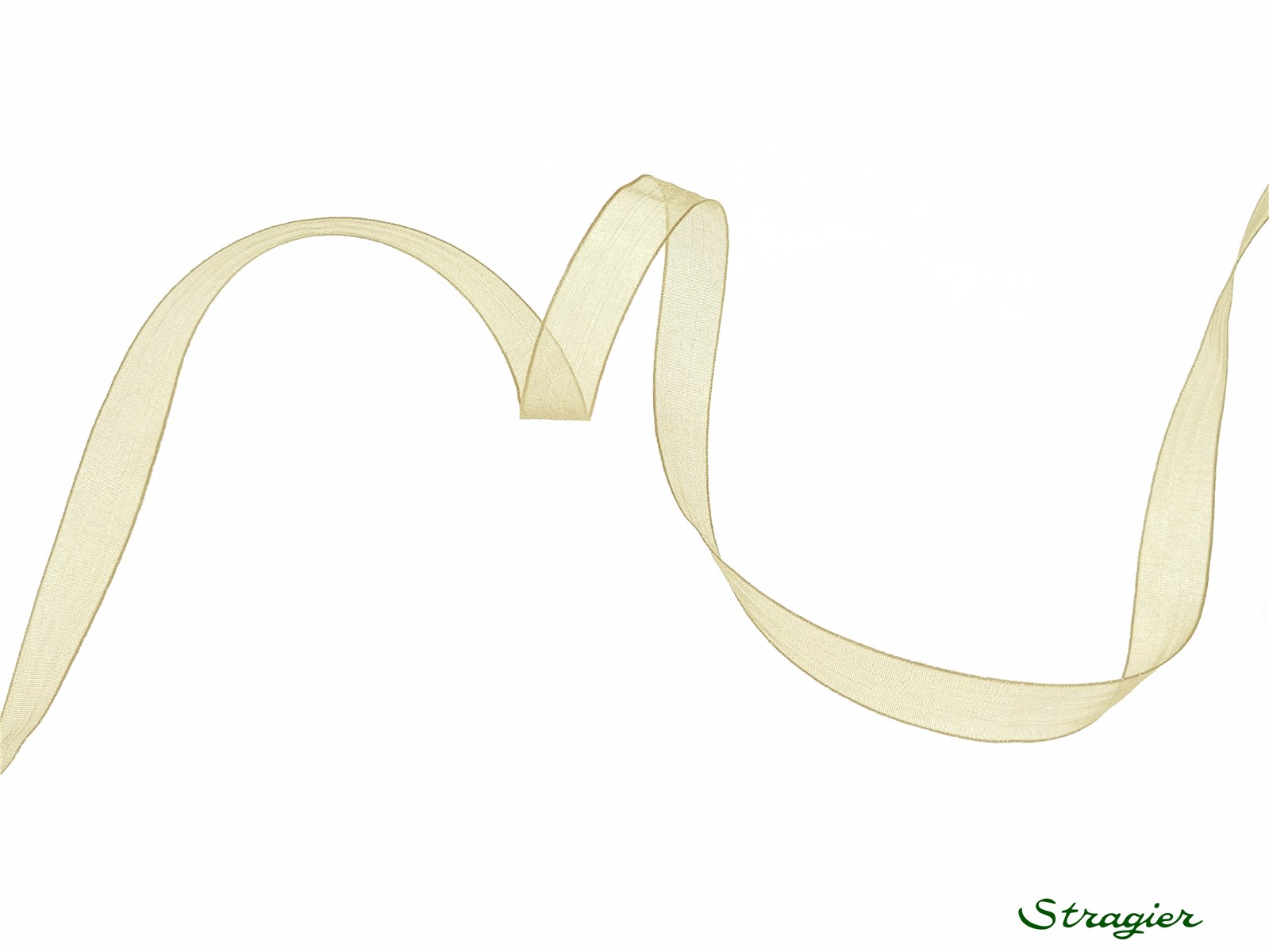 Organza Ribbon - Plain - Gris Perle - 10 mm