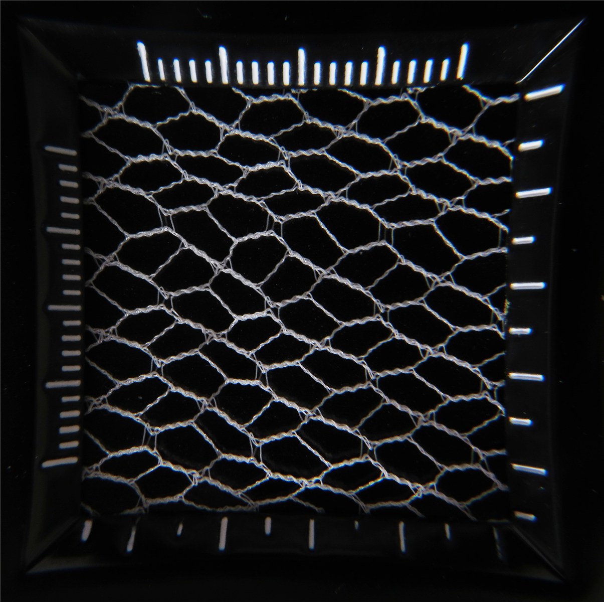 Voilette N°4 - Voilette 4 - Porcelaine Stragier - 165 cm