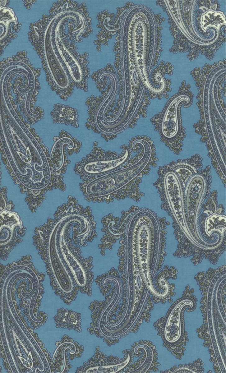 Liberty Varuna Wool - Paisley - D 
