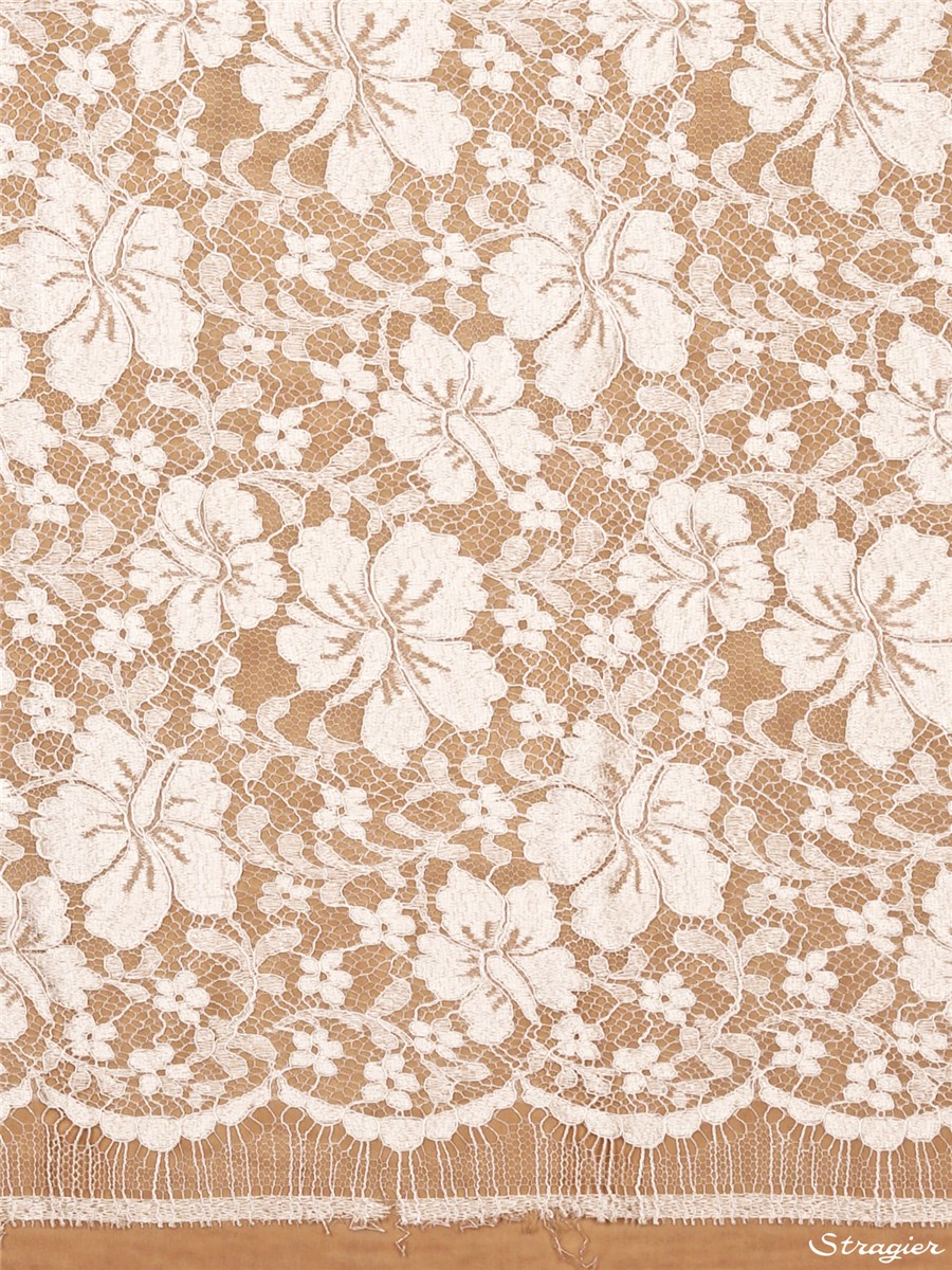 Calais Lace - Caroline - Stragier Cream - 85 cm