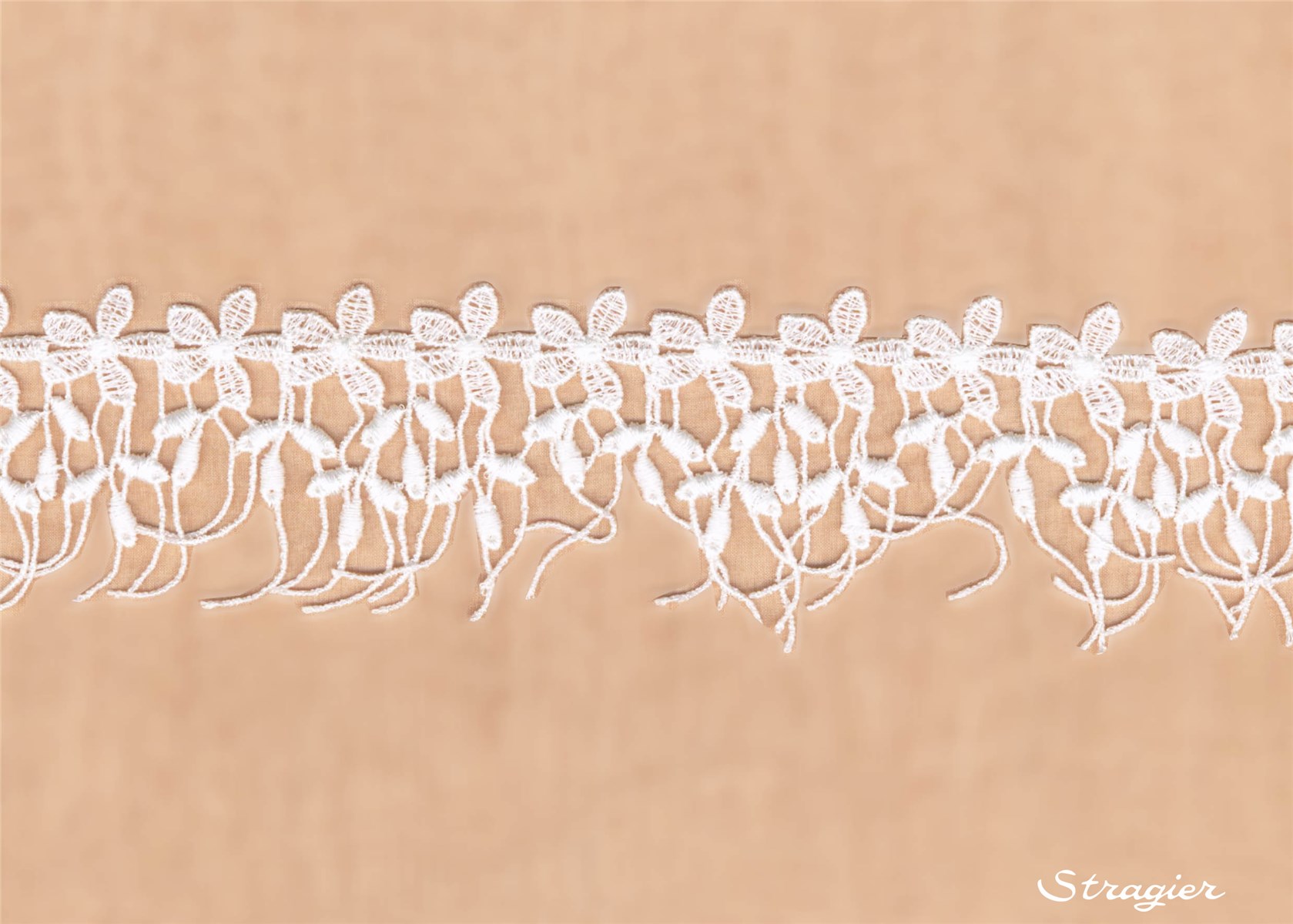 Galon brodé de motifs libres - Caro - Blanc Doux Stragier - 50 mm