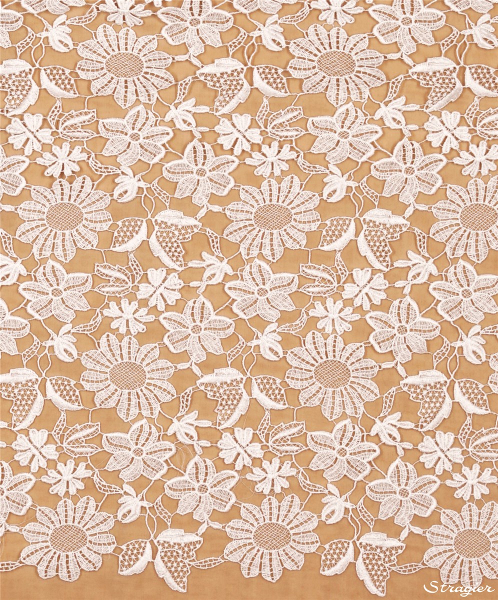 Guipure Coton - Lucia - Ivoire clair Stragier - 50 cm