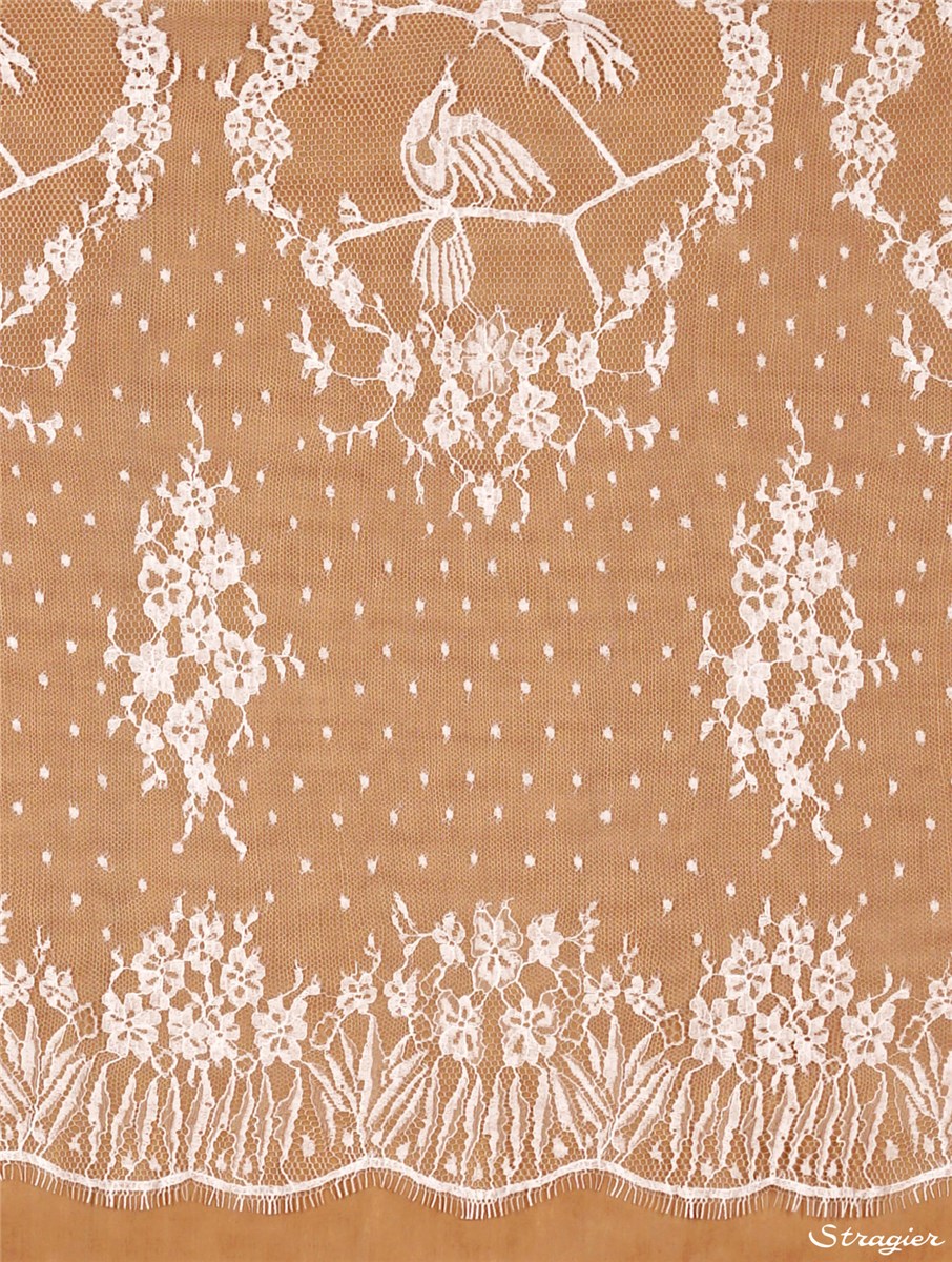 Calais Lace - Singing Bird - Ivoire clair Stragier - 50 cm