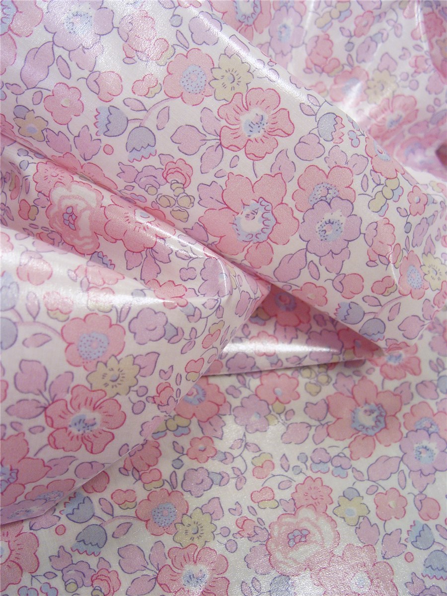 Liberty - coated - 2019 Betsy - Rose Buvard