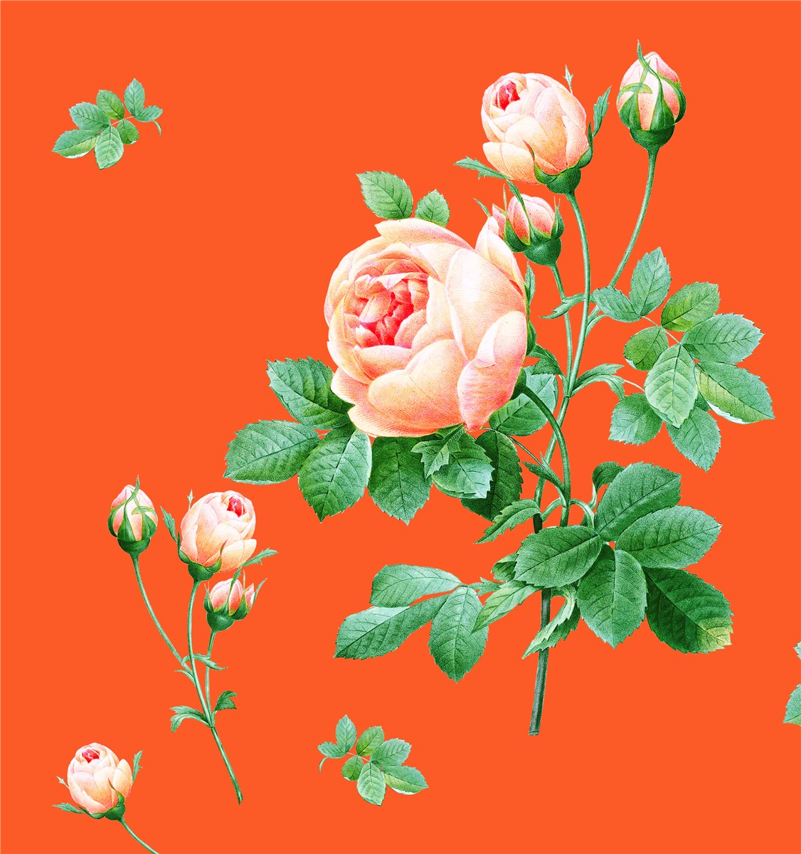 Twill de Soie - Rosa-Clara - Gingembre-Abricot