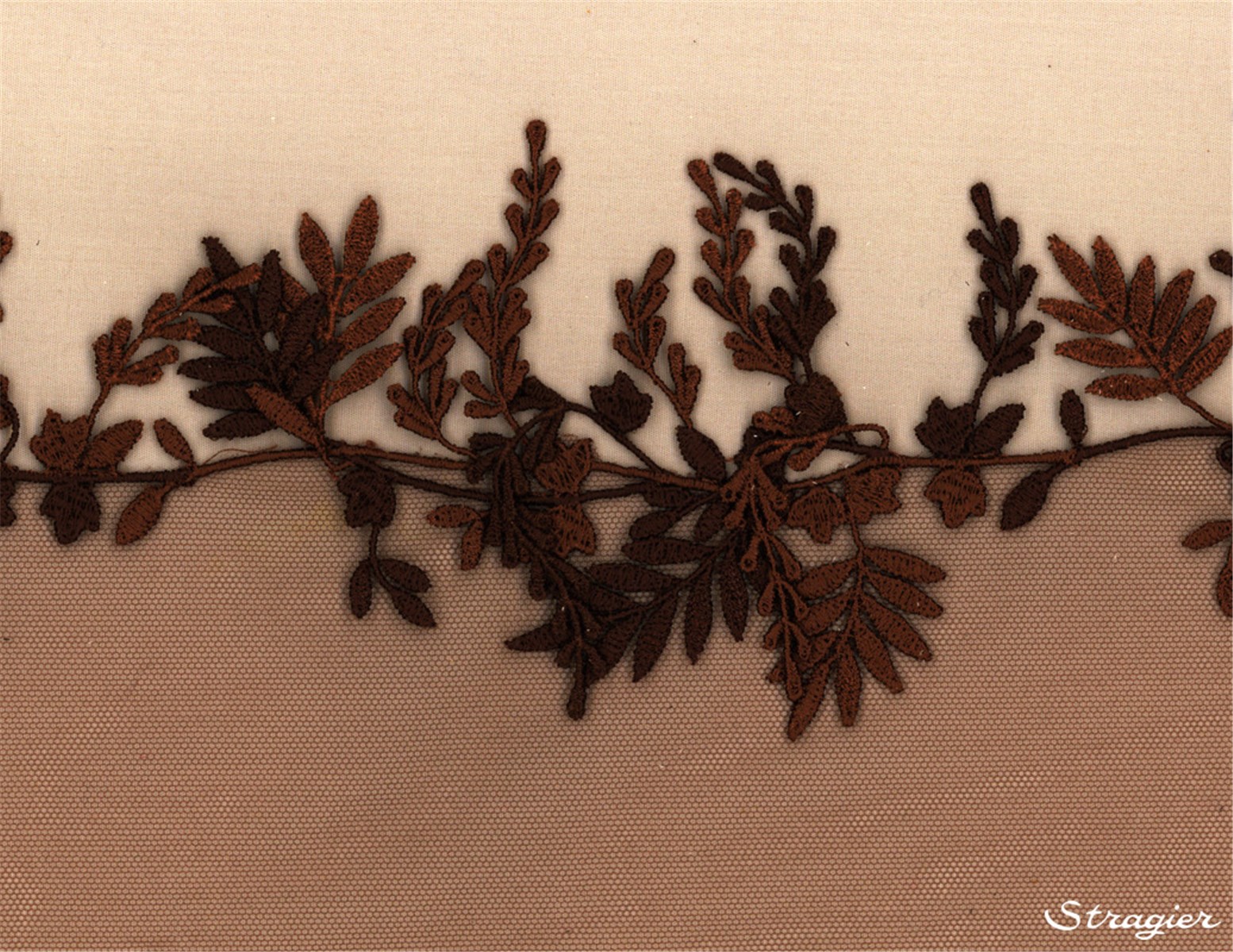 Galon brodé de motifs libres - Digi - Chocolat - 8 cm