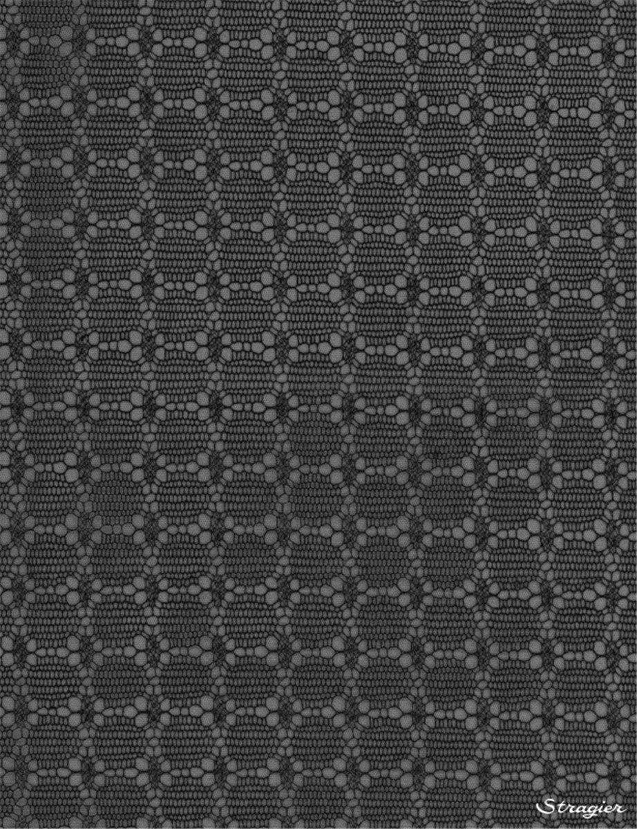 Shadow Lace Tulle - 011909 - Noir - 325 cm