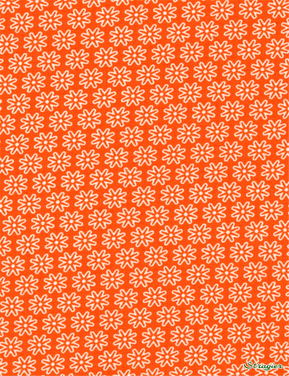 Popeline pur Coton - Daisy - Orange 