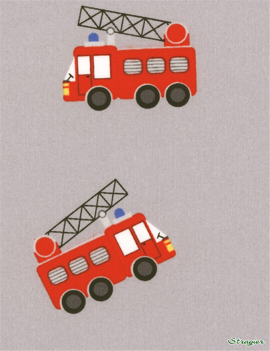 Pure Cotton Poplin - Pimpon - 061