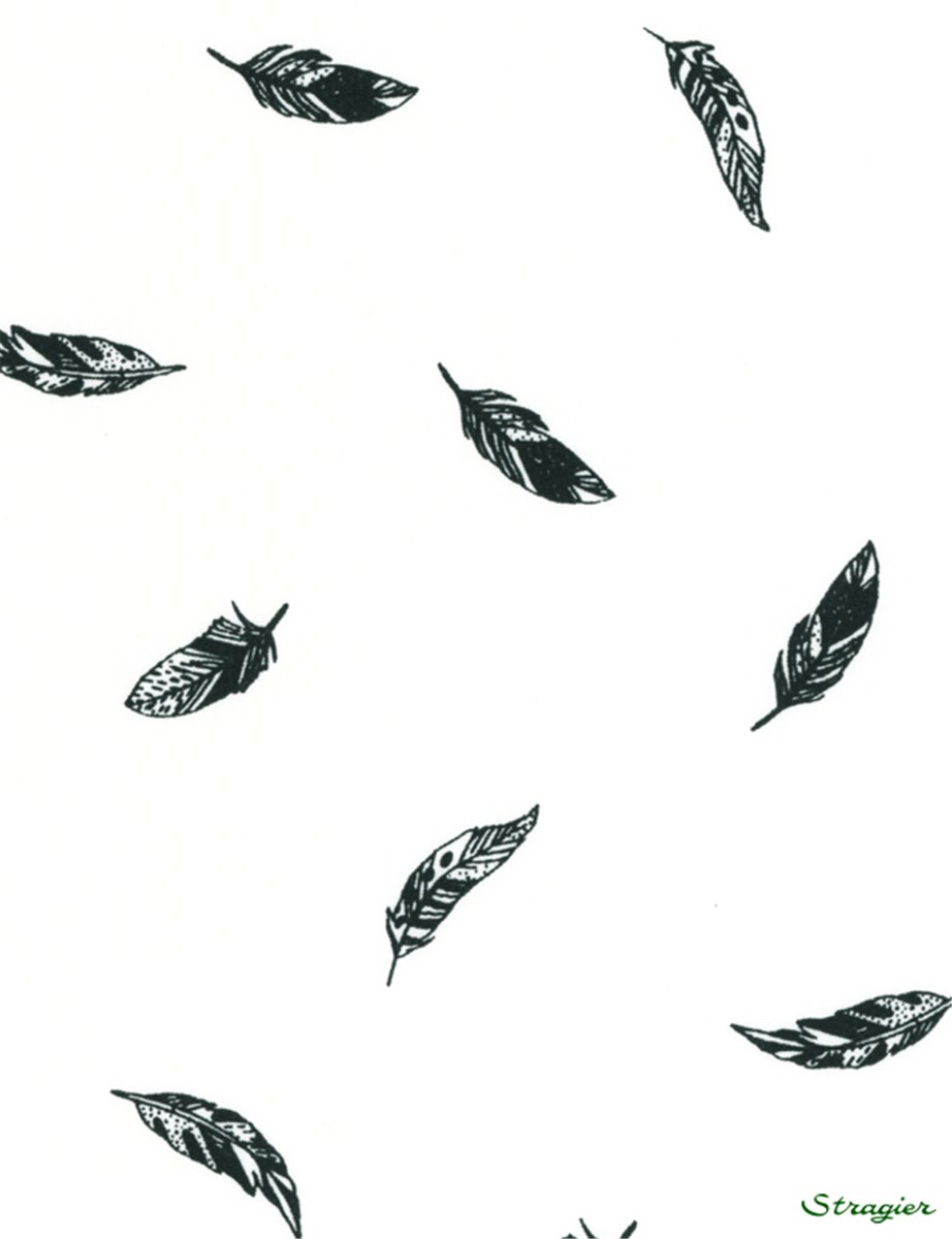 Popeline pur Coton - Plume - Noir et Blanc 