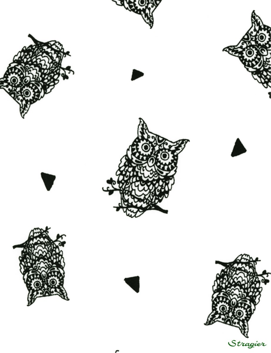 Popeline pur Coton - Owl - Noir et Blanc 