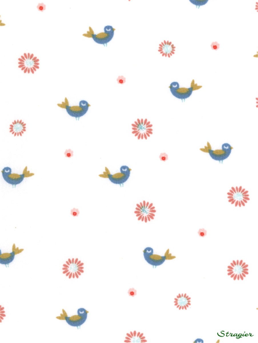 Popeline pur Coton - Lil Birds - 150 