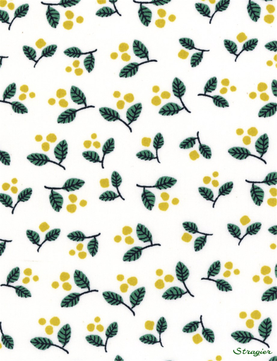 Pure Cotton Poplin - Mugy - Moutarde