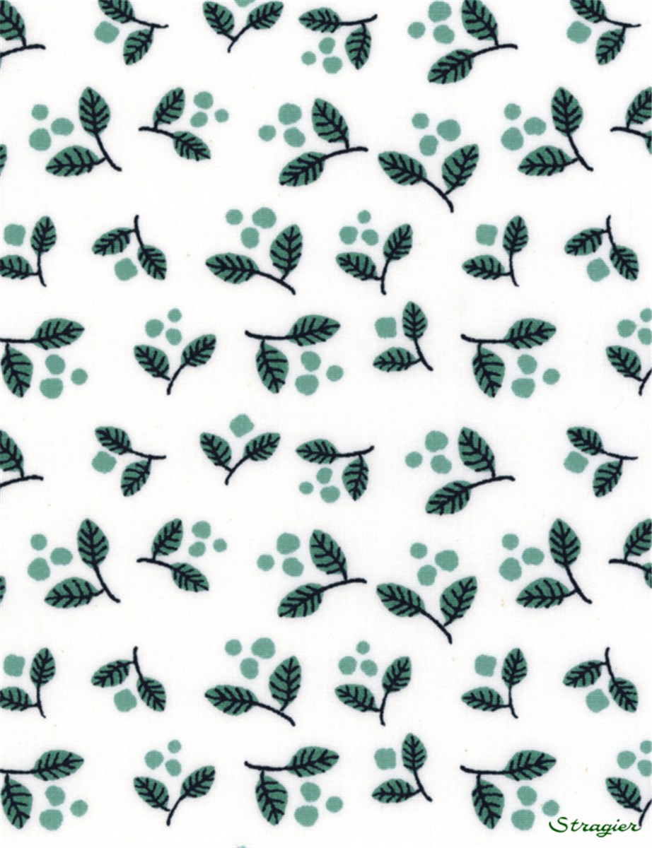 Popeline pur Coton - Mugy - Menthe 