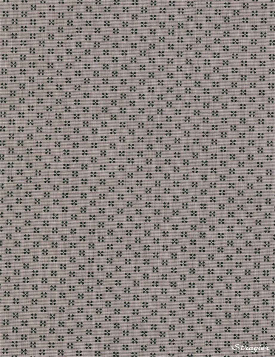 Long Staple Cotton Poplin - Zéphyr - Noir sur Gris