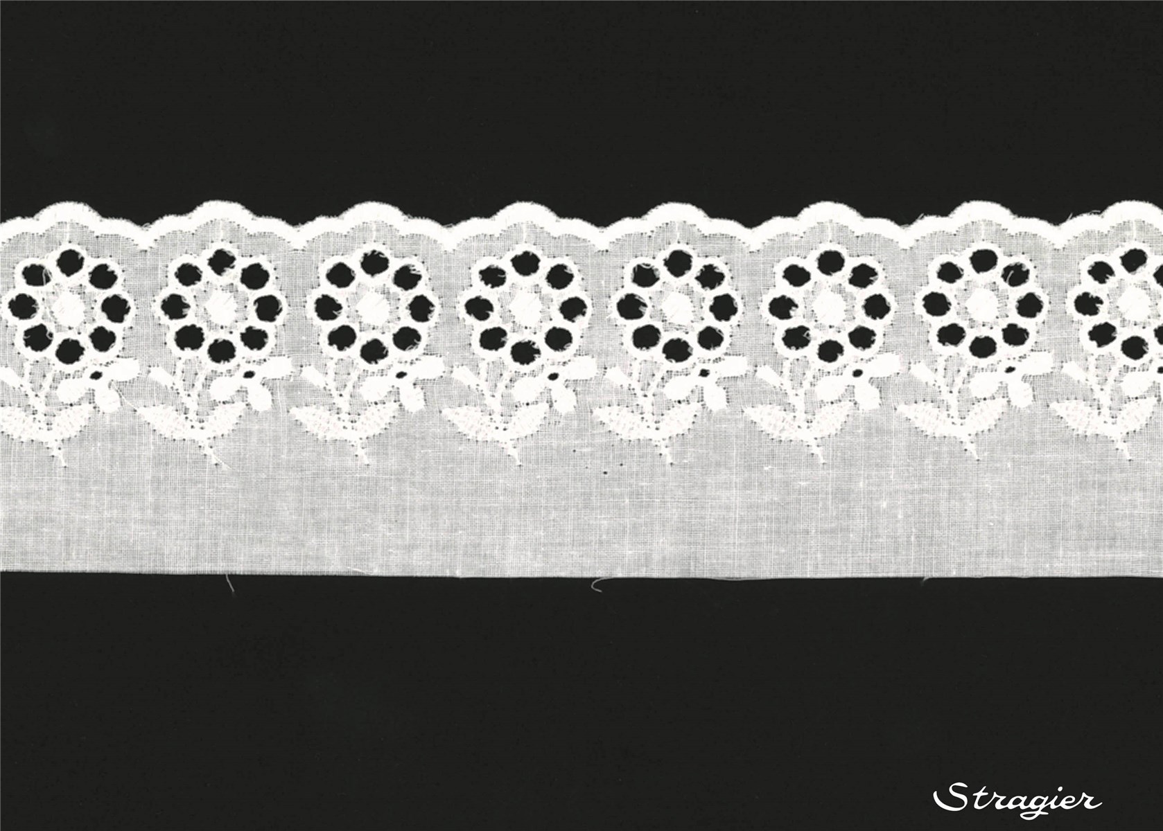 Broderie anglaise - Emeline - Blanc - 65 mm-50 mm