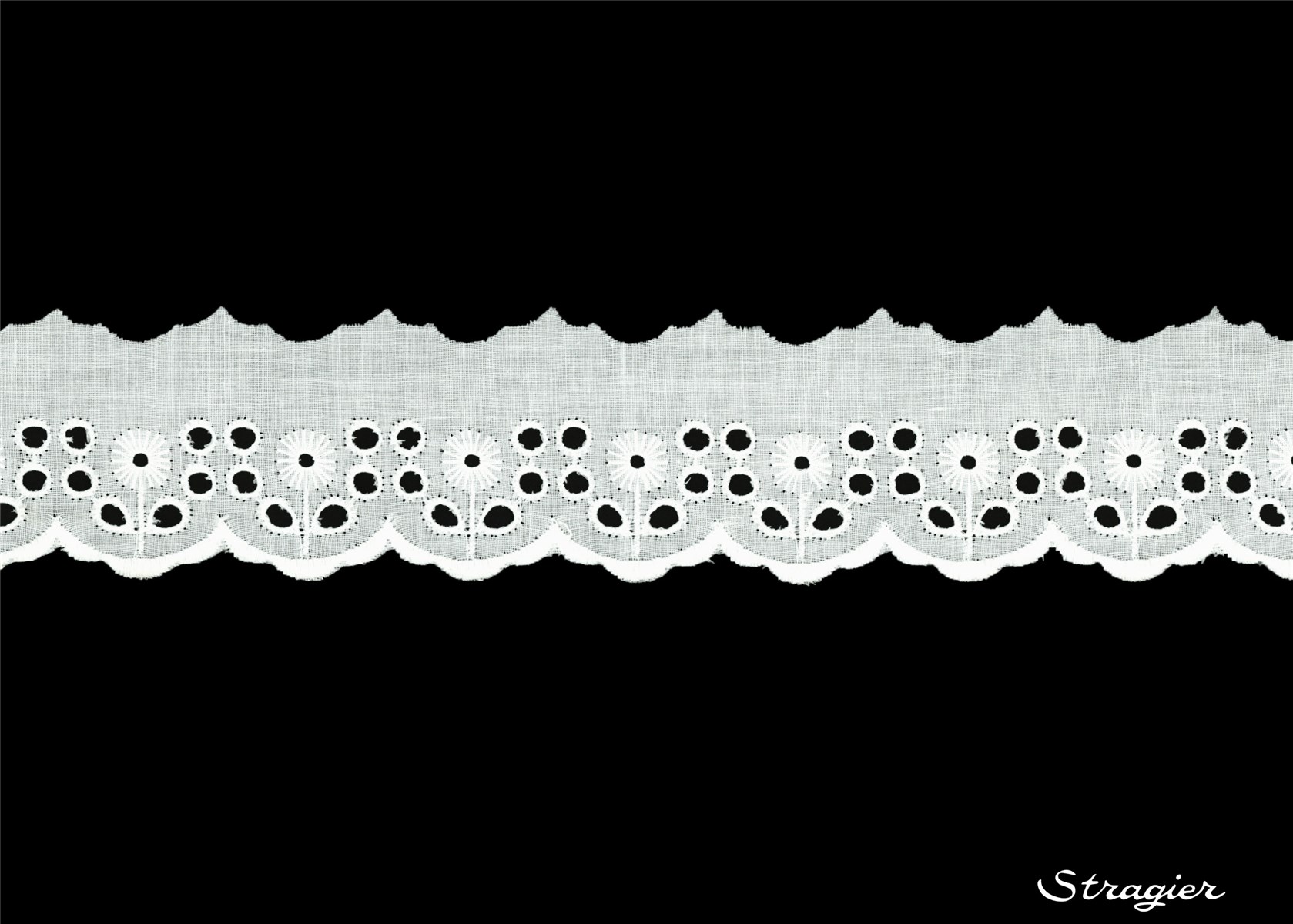 Broderie anglaise - 012068 - Blanc - 40 mm-25 mm