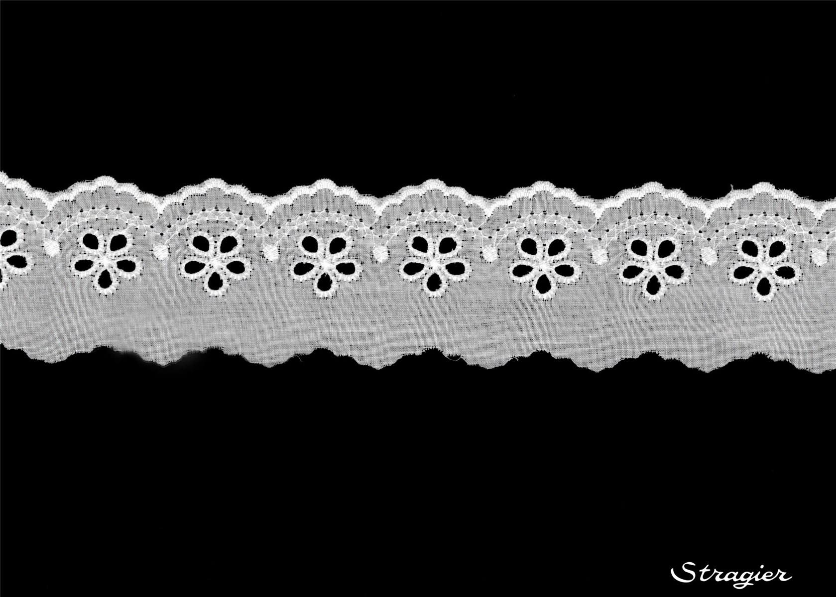 Cotton Eyelet Lace Trim - Biella - Blanc - 40 mm-30 mm