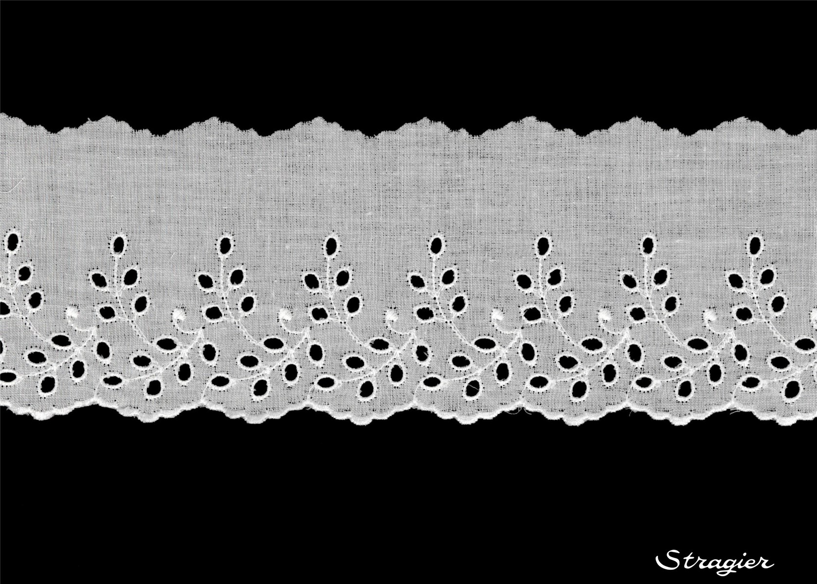 Broderie anglaise - Isaline - Blanc - 75 mm-50 mm