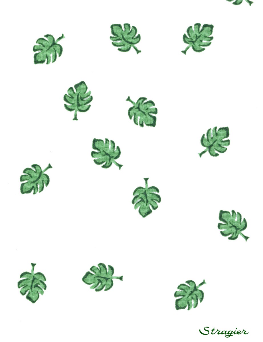 Piqué de Coton - Ficus - Vert Yucca 