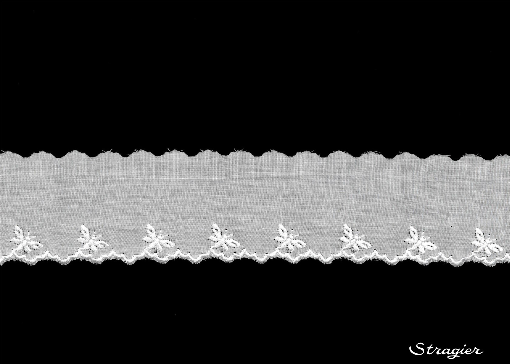 Broderie anglaise - Bytilia - Blanc - 40 mm-15 mm