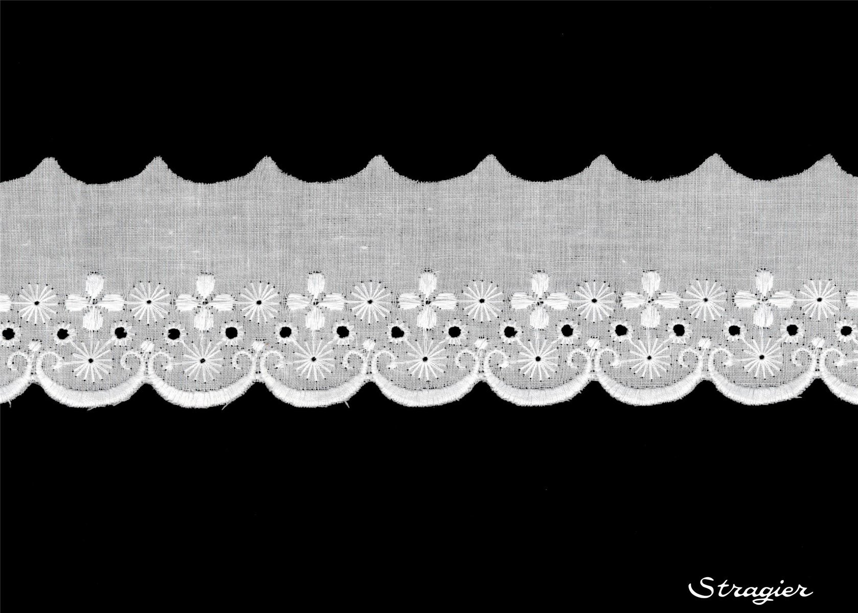 Cotton Eyelet Lace Trim - Asonie - Blanc - 55 mm-35 mm