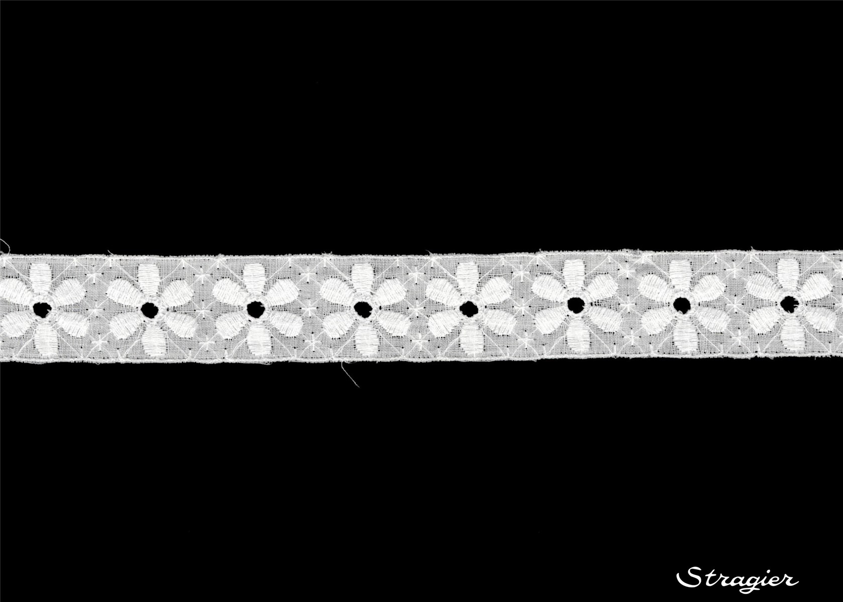 Broderie anglaise - Galon - 012172 - Blanc - 25 mm