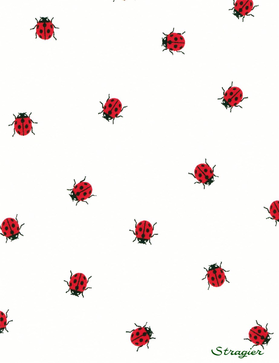 Popeline pur Coton - Coccinelle - 315 