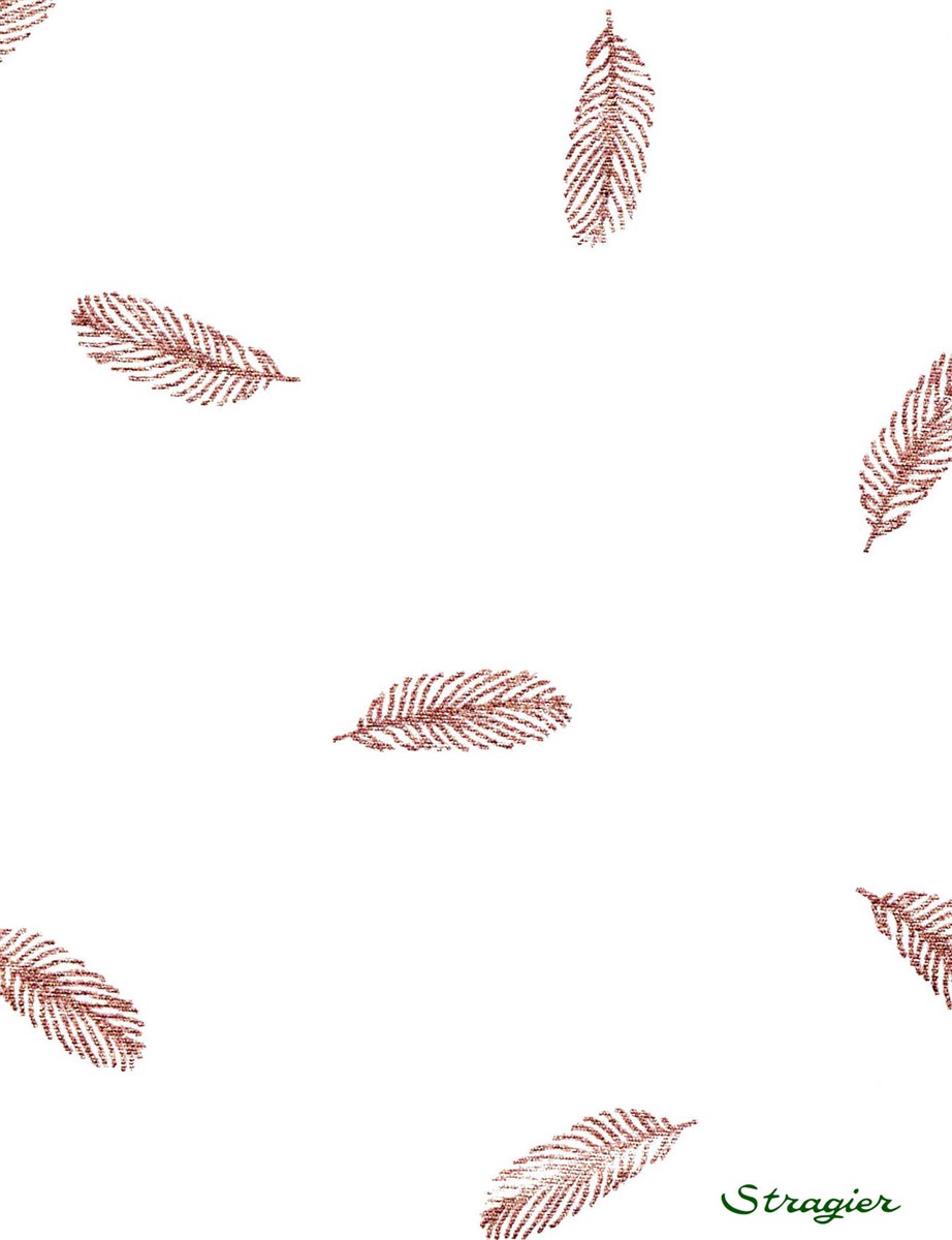 Cotton Poplin - Plumes - cuivré