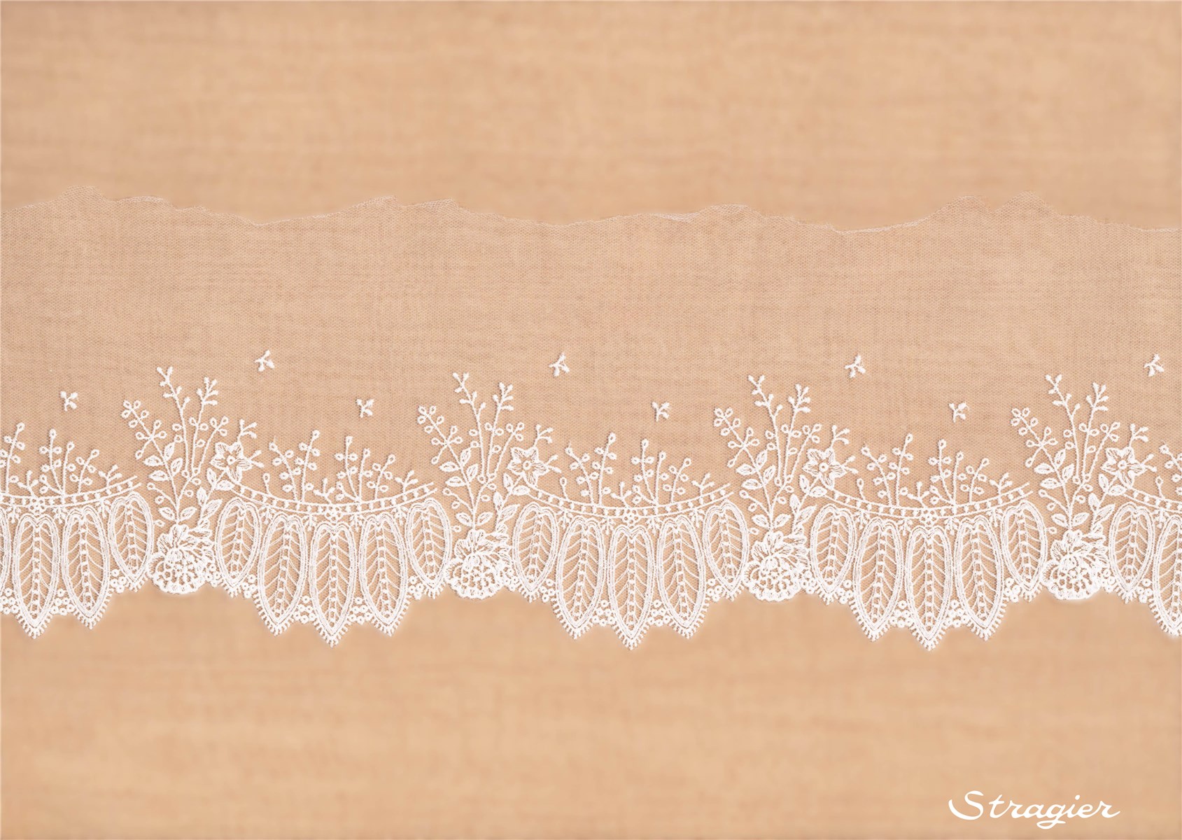 Broderie fine Coton sur Tulle invisible - Idylia - Ivoire clair Stragier - 10 cm
