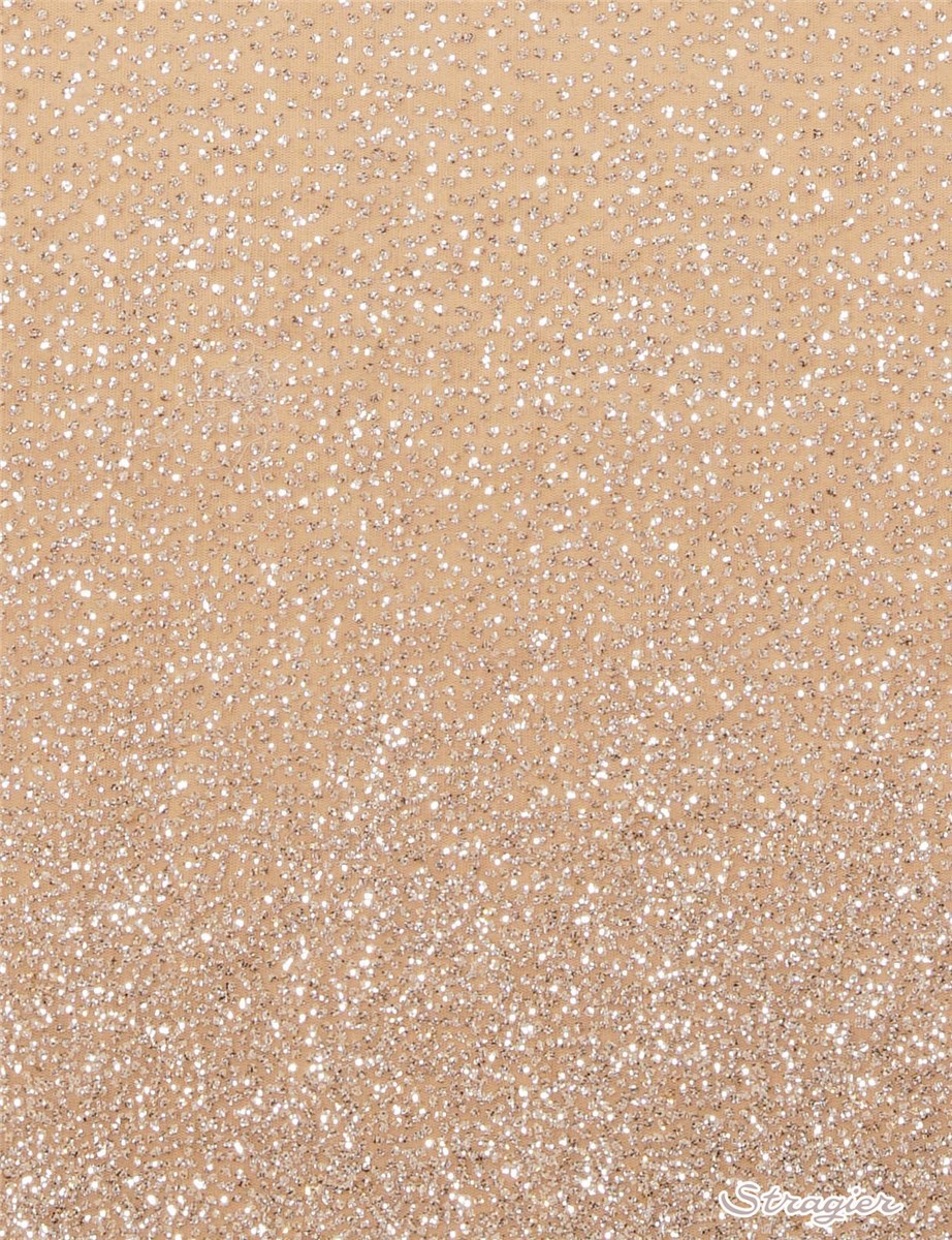 Tulle fin incrusté de micro Paillettes - Progressif - Ivoire clair-Platine 