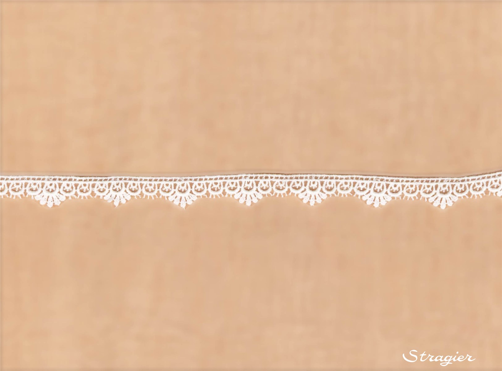 Guipure Lace - Silène - Ivoire clair Stragier - 14 mm