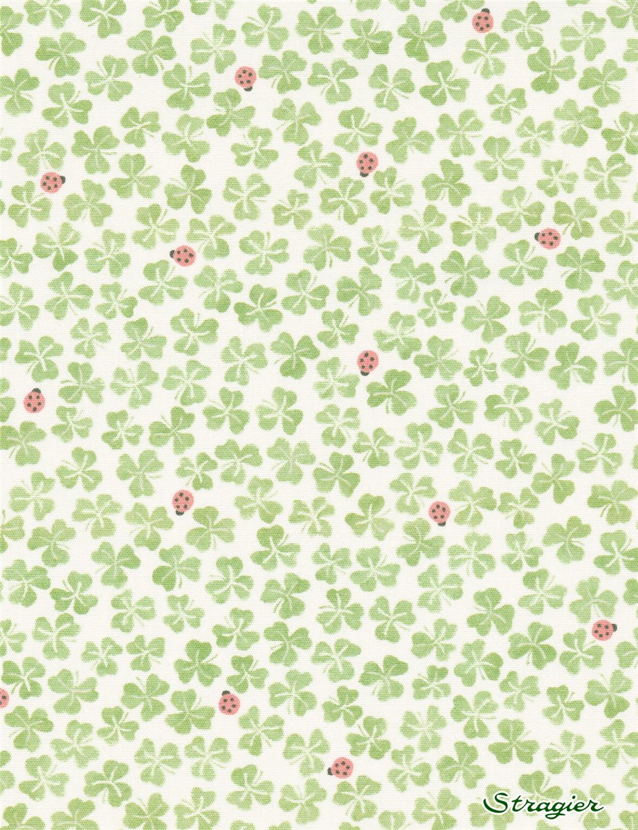 Popeline douce - Bonheur - 3 