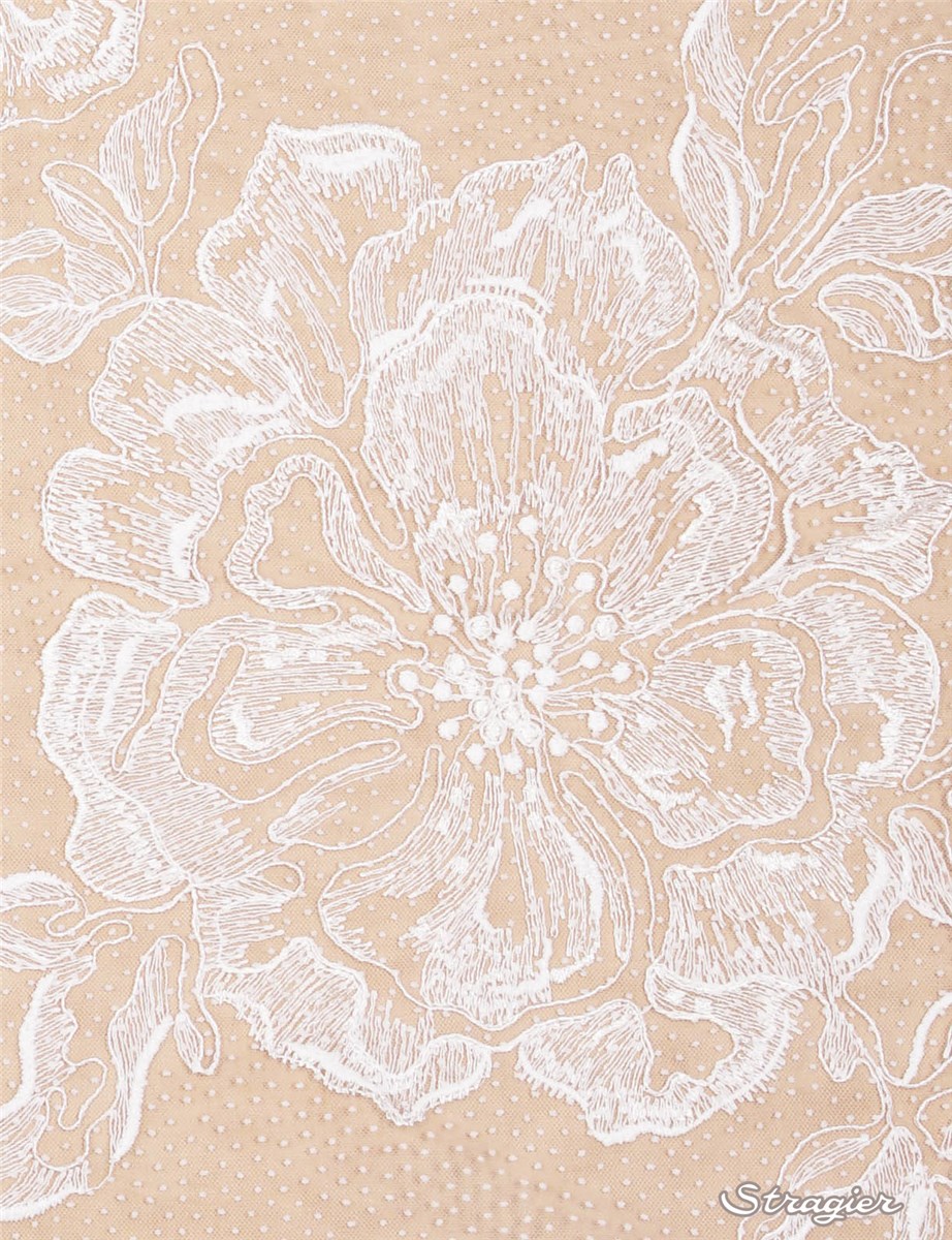 Swiss Dots tulle - Cord Embroidered - Constantine - Stragier Ivory - 135 cm