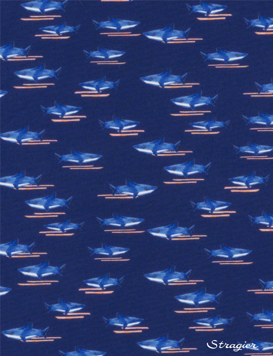 Swim Stretch - UNE - Jaws - Marine