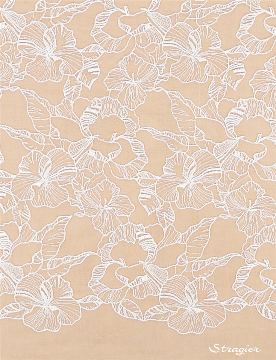 Broderie fine Coton sur tulle invisible - Caladia - Ivoire clair Stragier - 145 cm