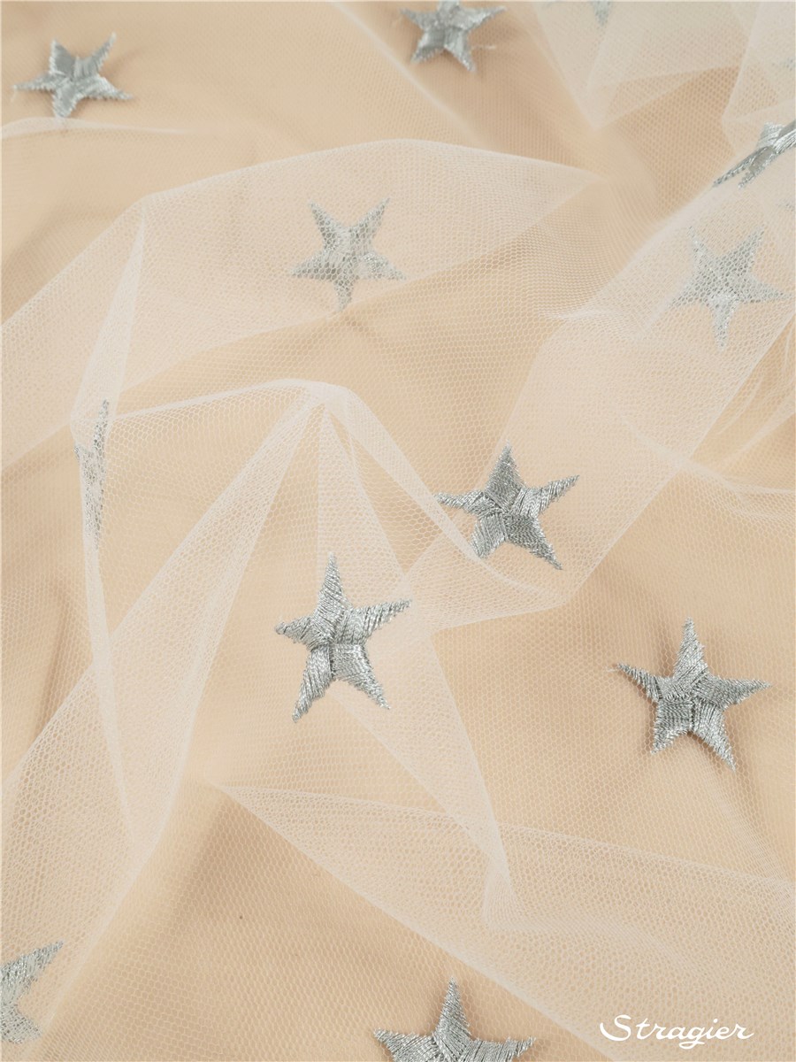 fine Embroidery on Sheer Tulle - Sissi - Argenté - 150 cm