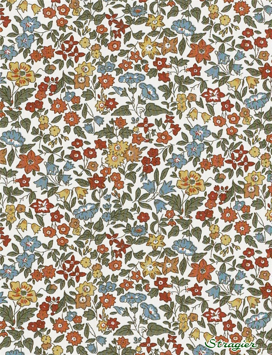 Liberty Tana Lawn - Ava - Autumn