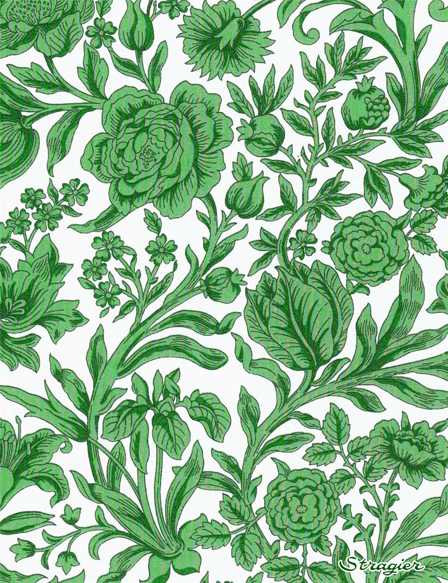 Liberty Tana Lawn - Sambourne - Cactus