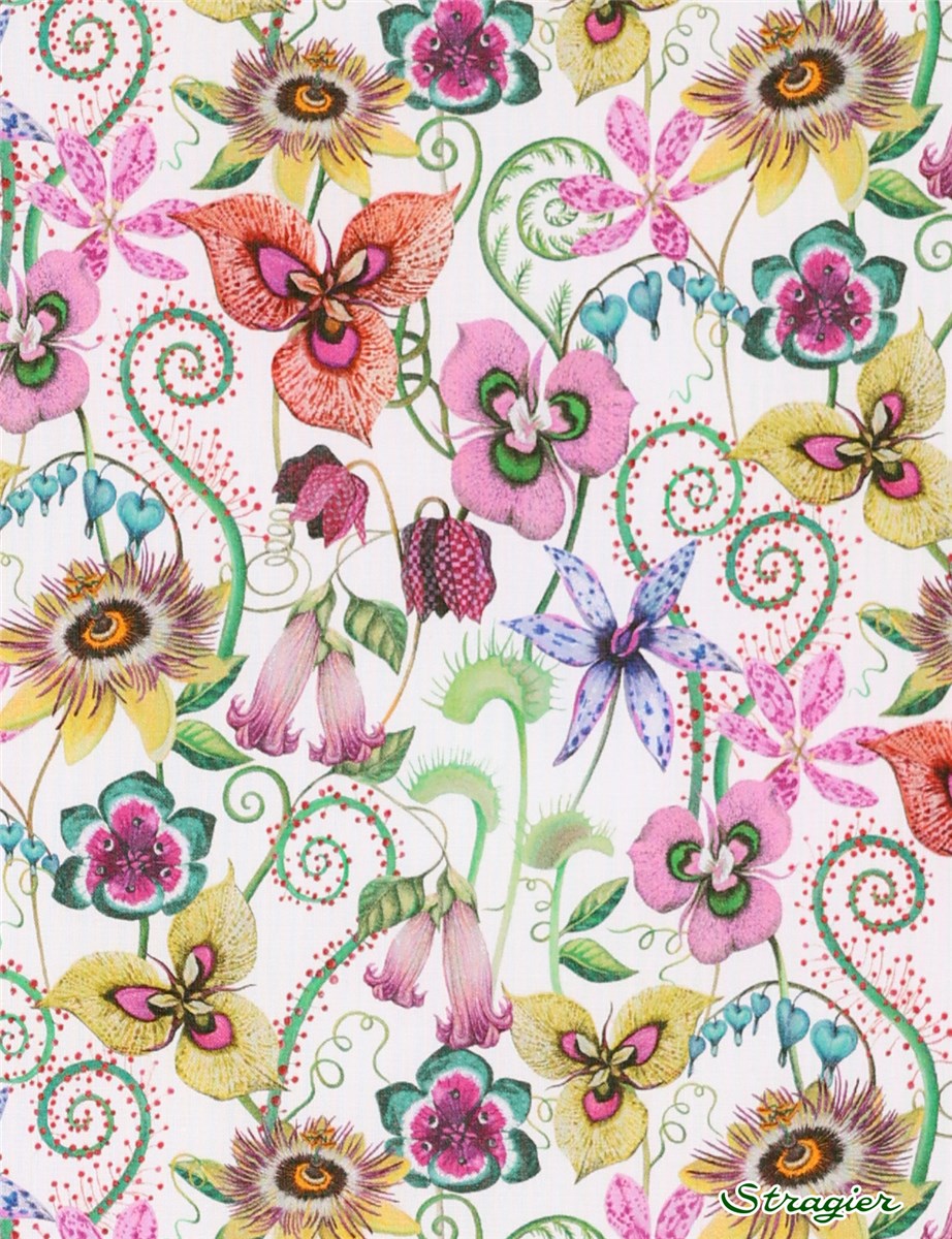 Liberty Tana Lawn - Melantha - B