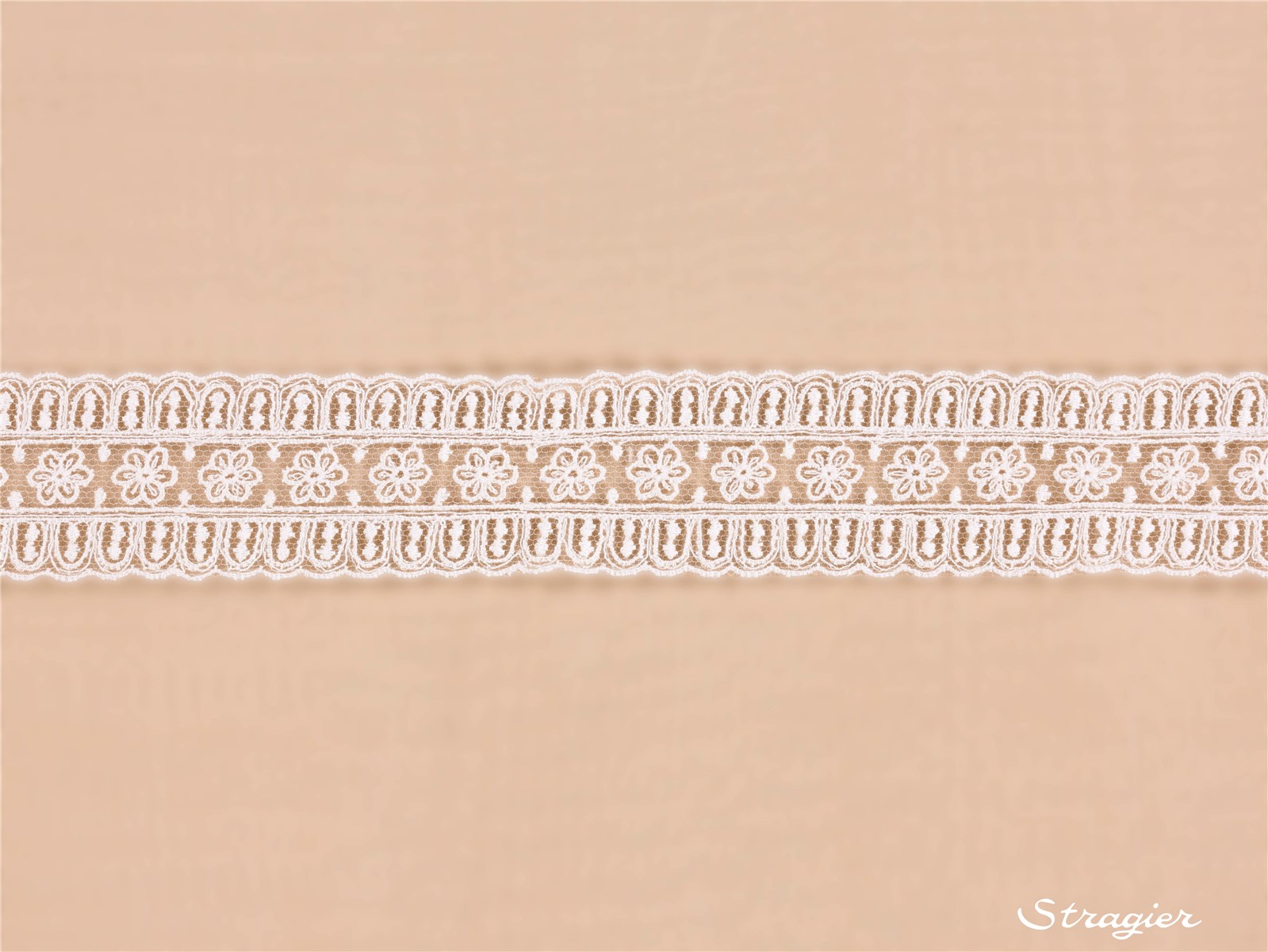 fine Cotton Embroidery on sheer Tulle - Buiselle - Ivoire clair Stragier - 30 mm