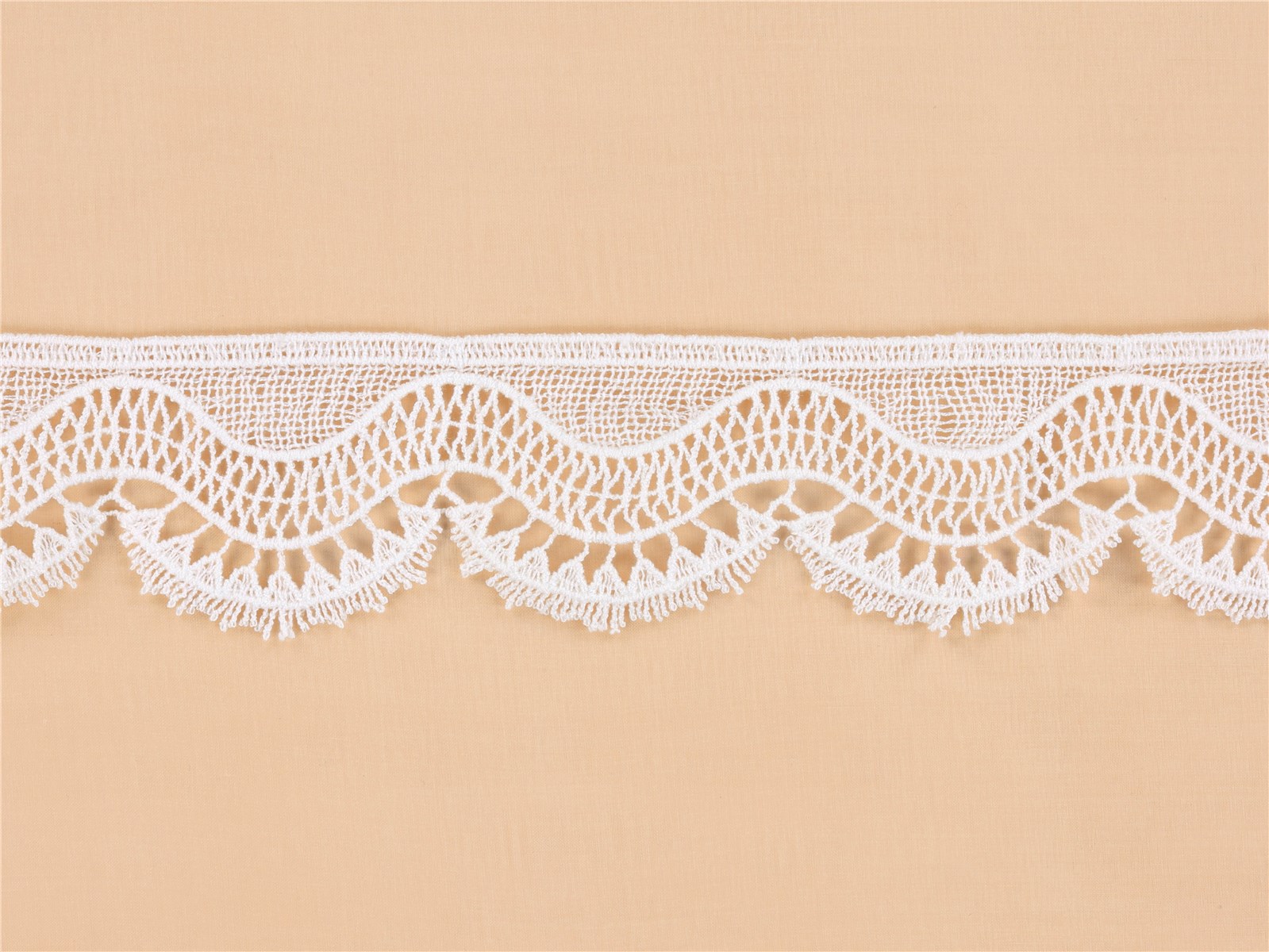 Cotton Guipure Lace - Canella - Stragier Pale Ivory - 50 mm