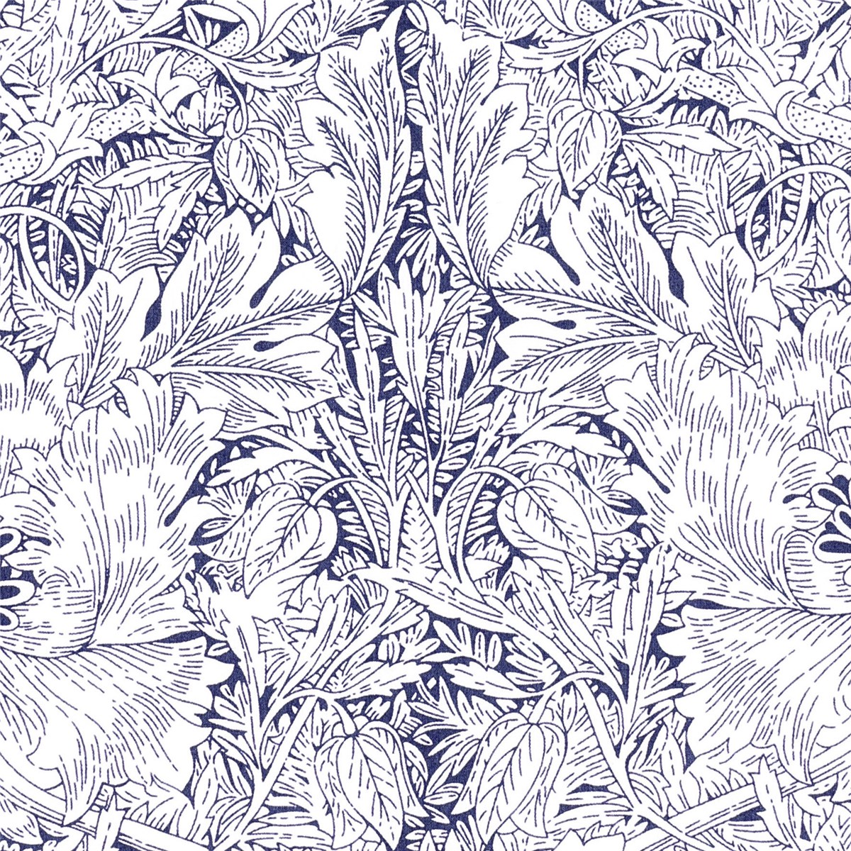 Liberty Tana Lawn - Indigo Morris - A