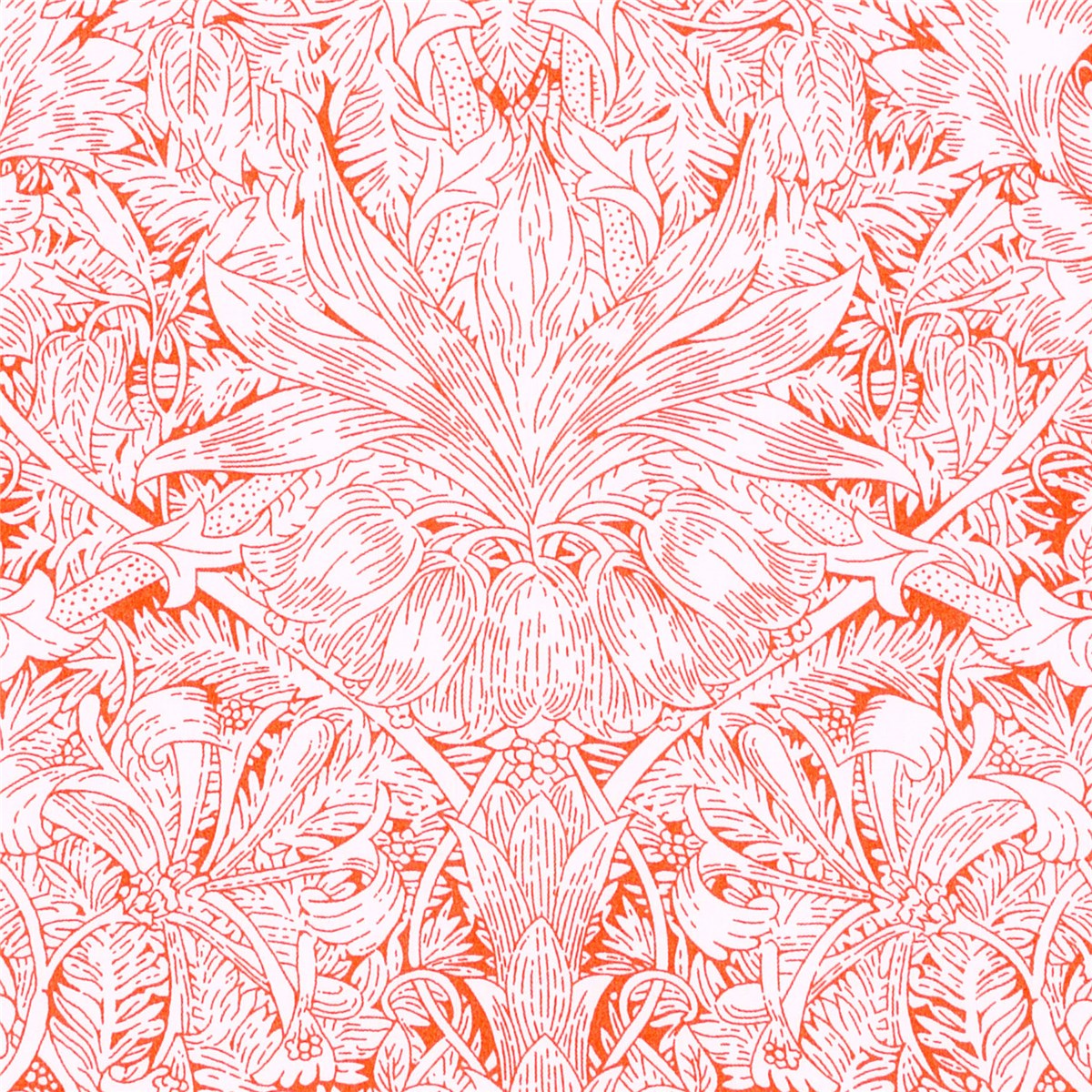 Liberty Tana Lawn - Indigo Morris - B