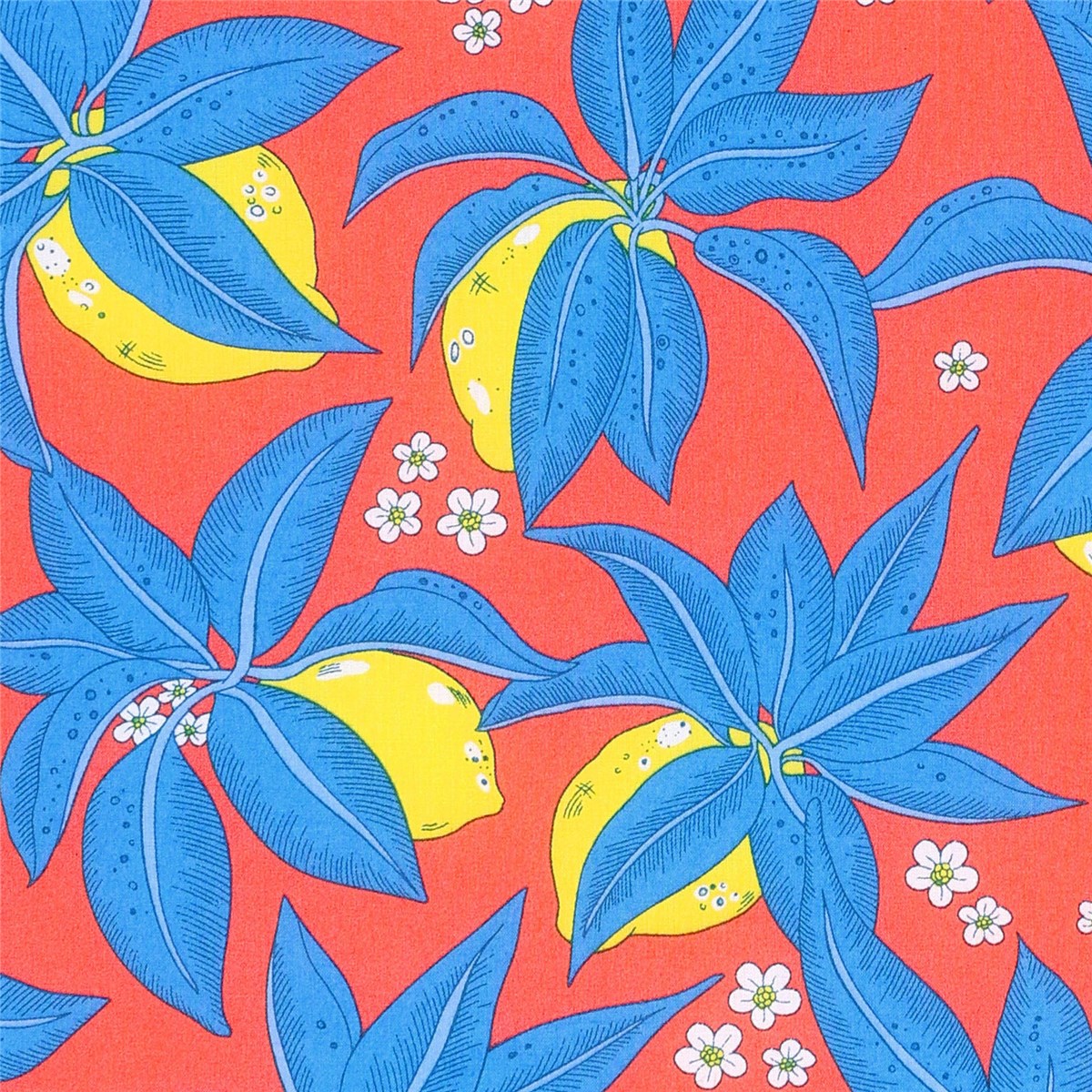 Liberty Tana Lawn - Citron presse - C